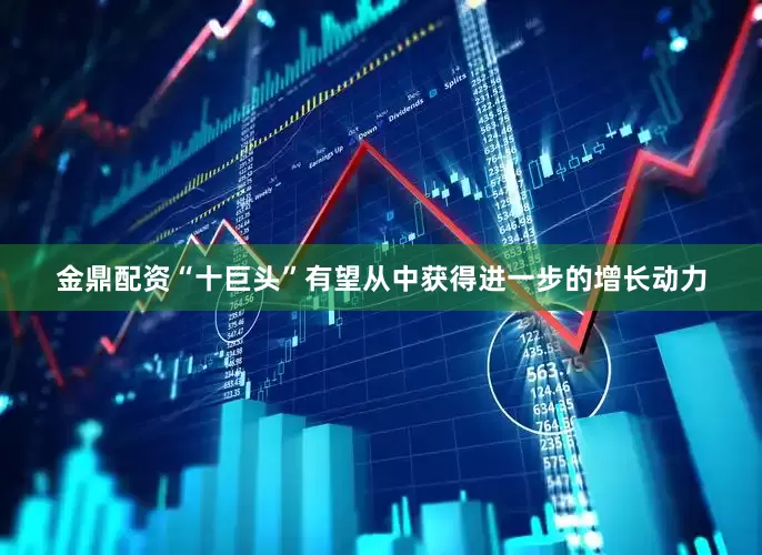 金鼎配资“十巨头”有望从中获得进一步的增长动力