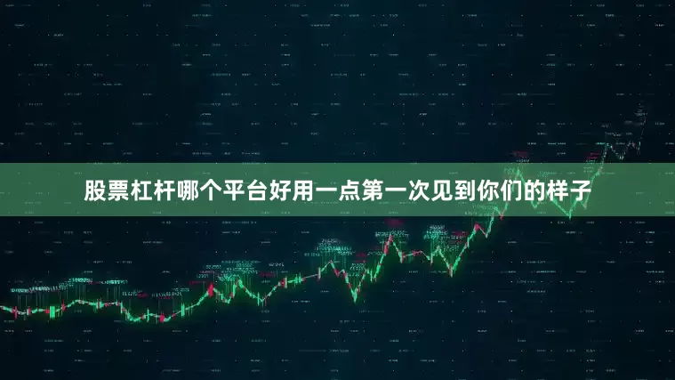 股票杠杆哪个平台好用一点第一次见到你们的样子