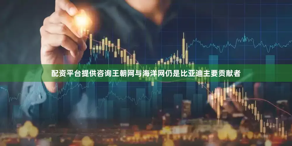 配资平台提供咨询王朝网与海洋网仍是比亚迪主要贡献者
