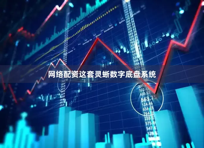 网络配资这套灵蜥数字底盘系统