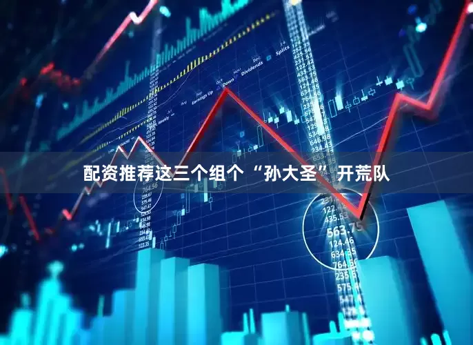 配资推荐这三个组个 “孙大圣” 开荒队