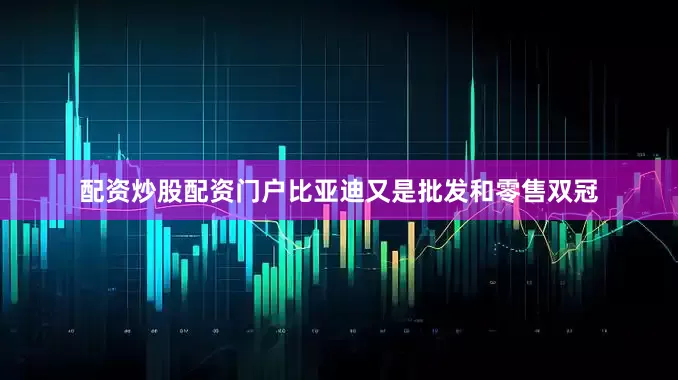 配资炒股配资门户比亚迪又是批发和零售双冠